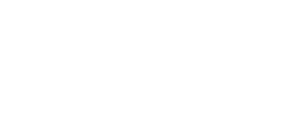الخيار الأنسب
